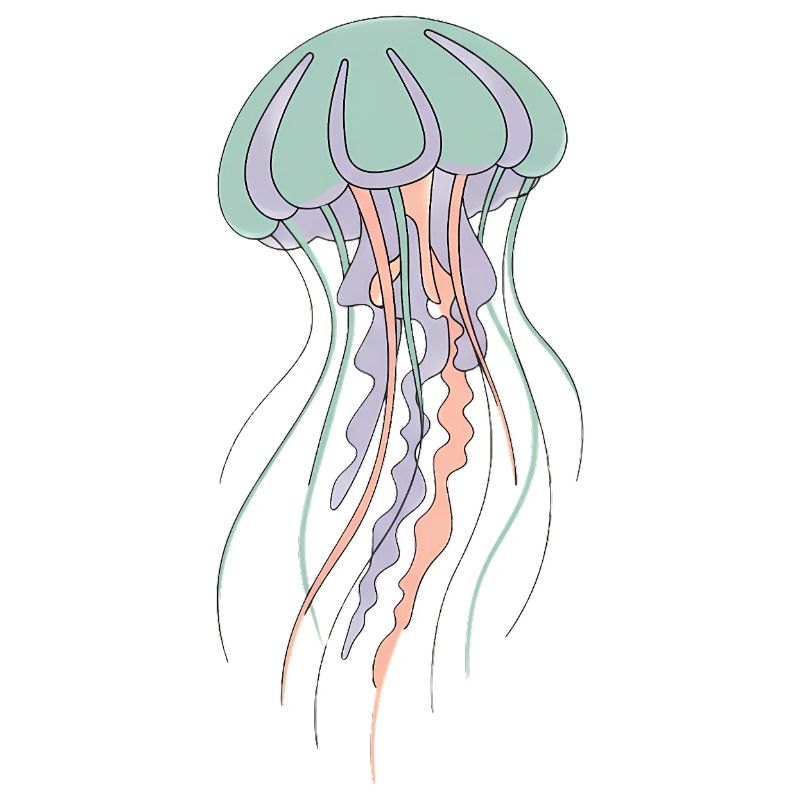 Illustration de méduse pastel