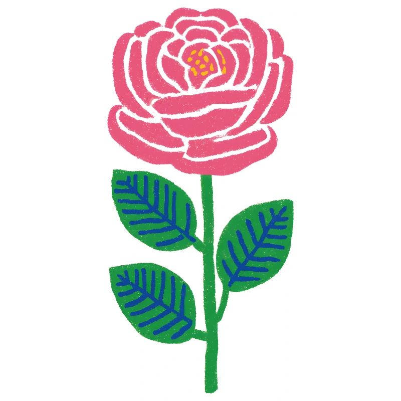 Pink Rose Pop Style