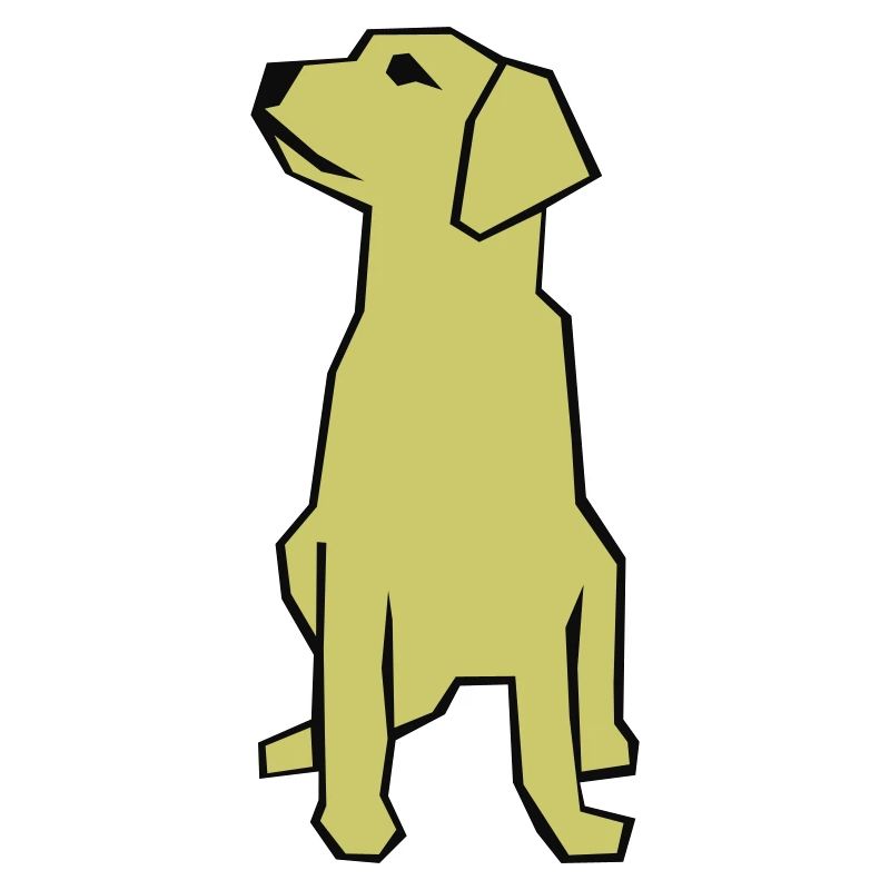 Labrador / chien-guide