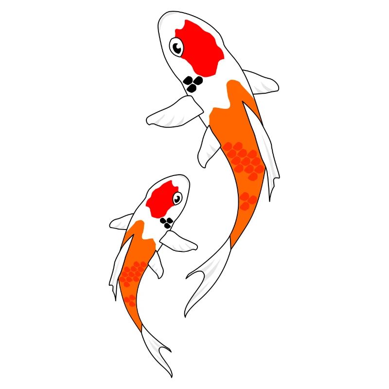 Koi orange