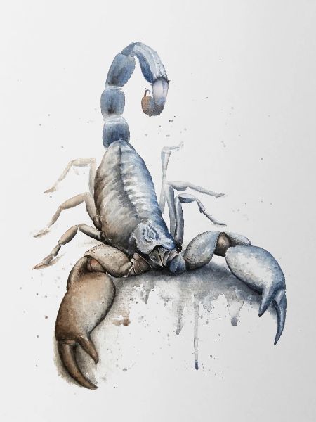 Sternzeichen Skorpion