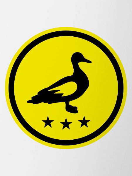 Duck animal
