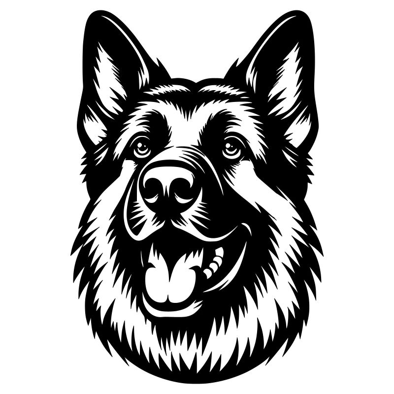 deutscher Schäferhund Zeichnung Kopf
