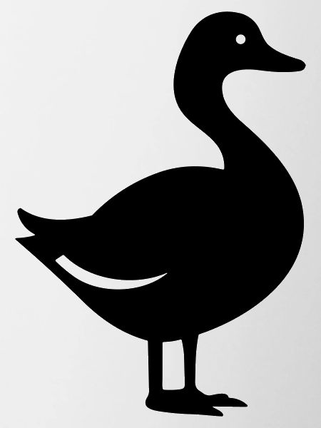 Canard