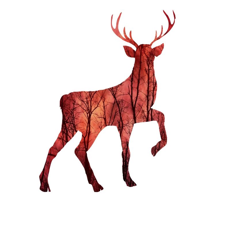 cerf