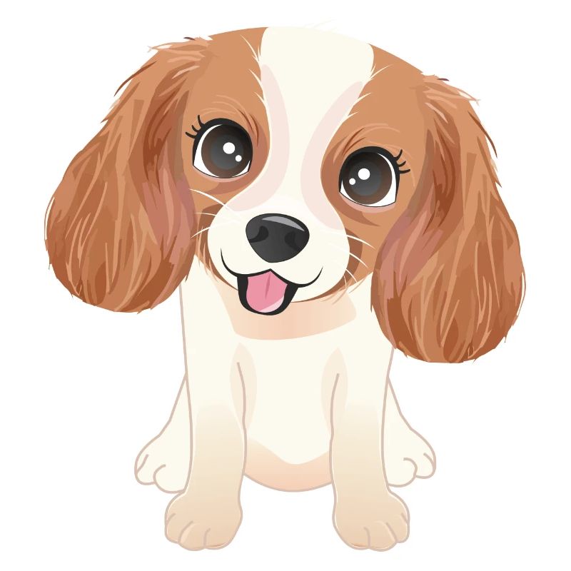 Mignon petit chien Cavalier King Charles Spaniel