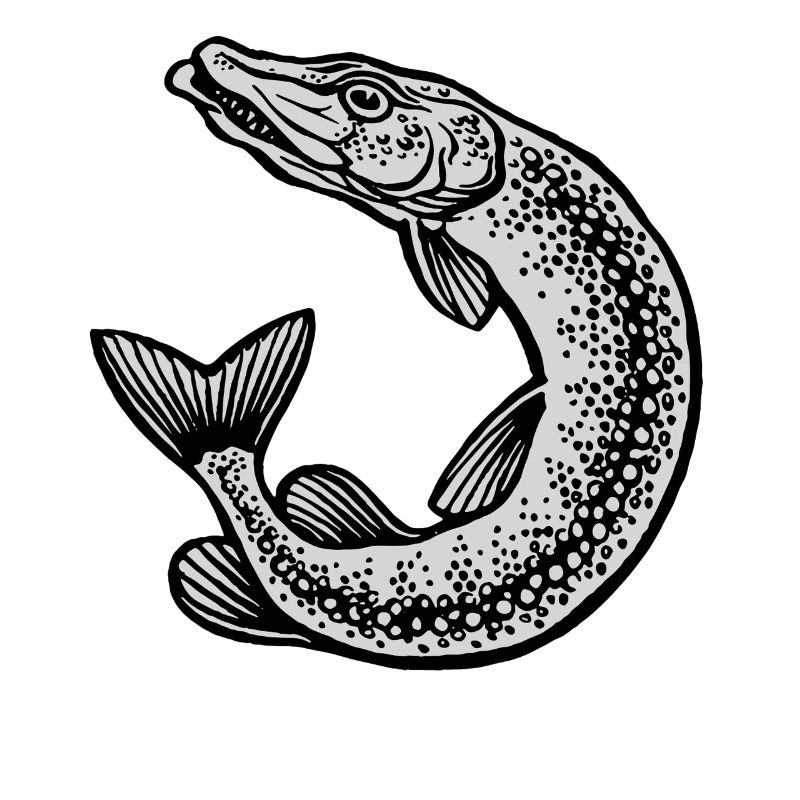 Pike