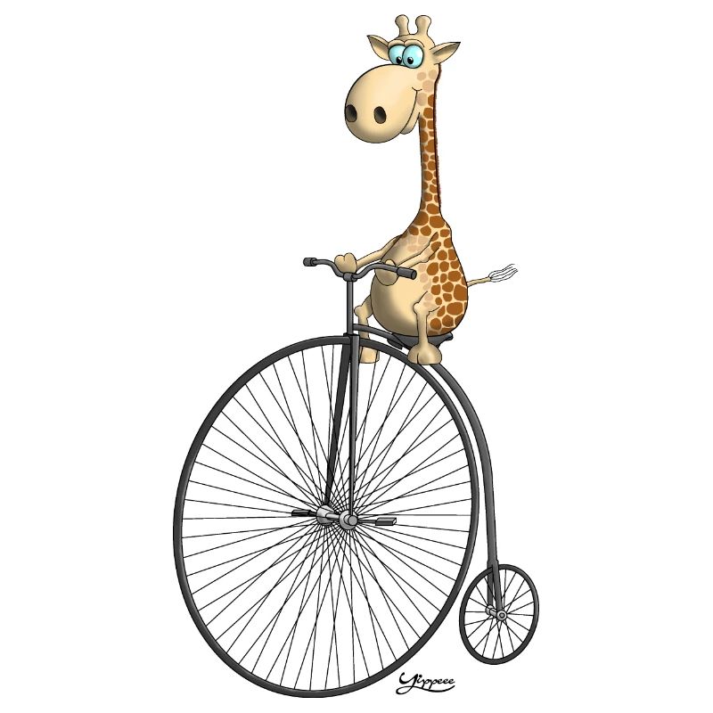 funny high wheel with giraffe