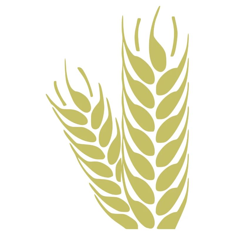 cereals corn cereal wheat wheat veggie gemuese v