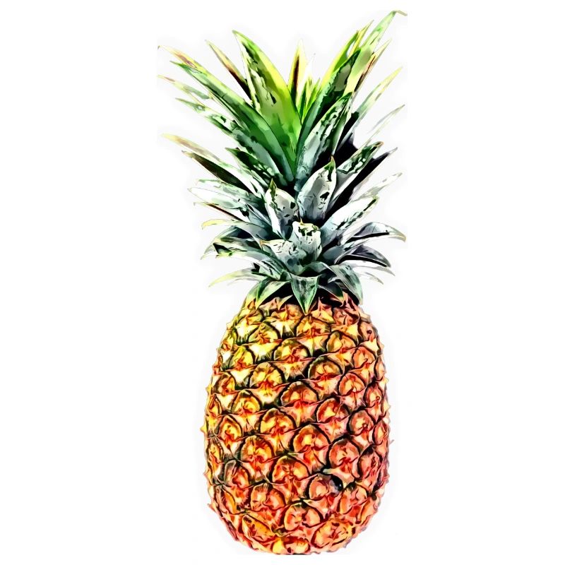 Pineapple princess