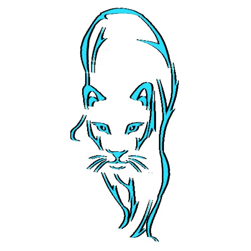 Chat prédateur