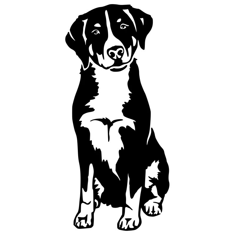 Appenzell Mountain dog