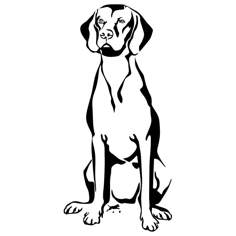 Magyar Vizsla