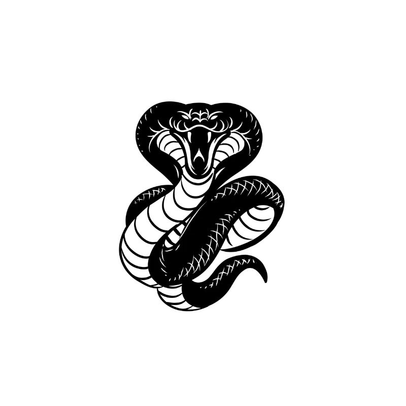 Team Cobra Illustration Serpent Cobra