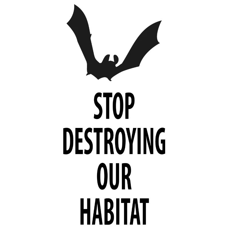 Bat Bats