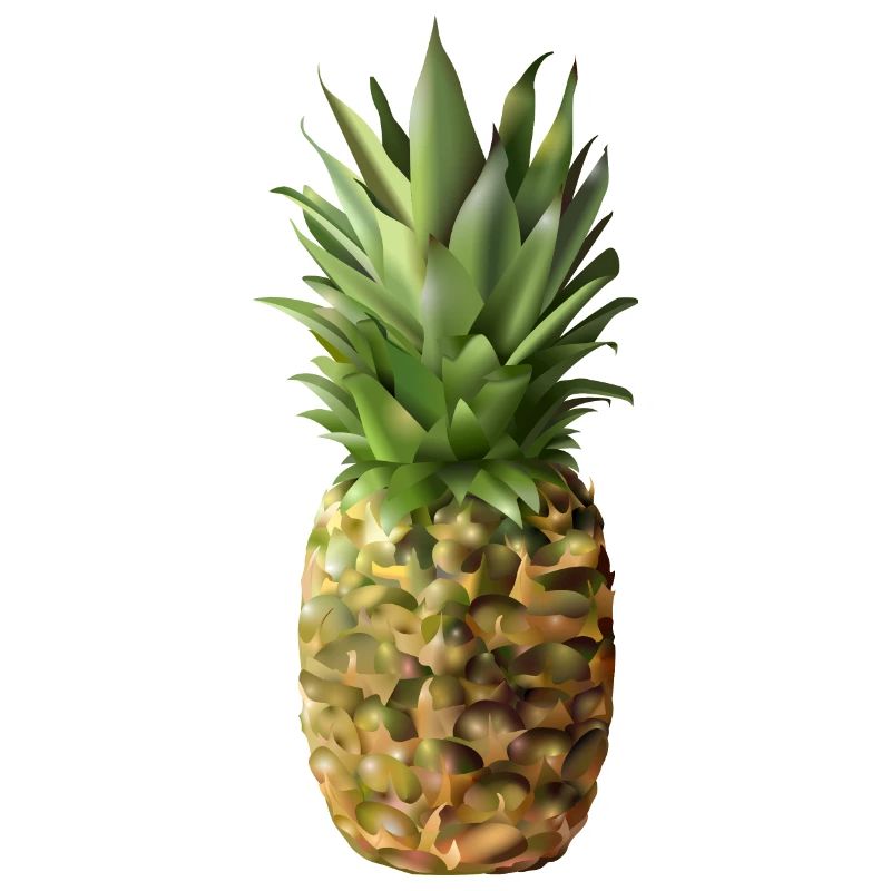 Pineapple