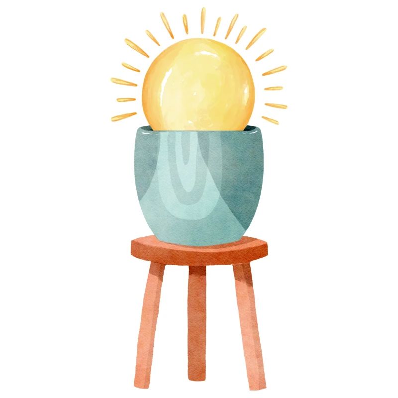 Soleil végétal