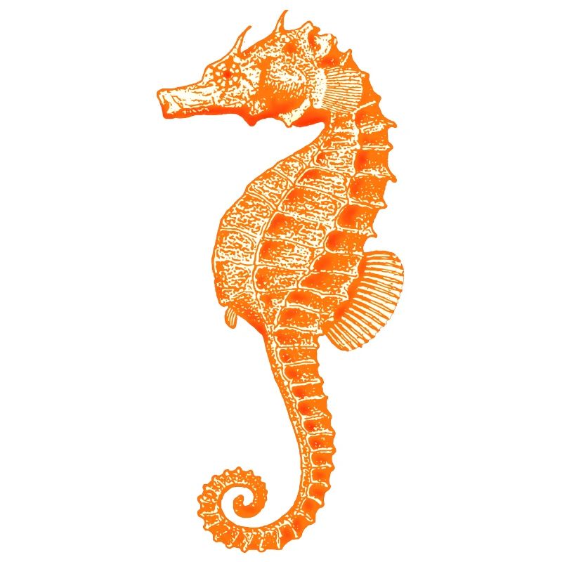 Dodu