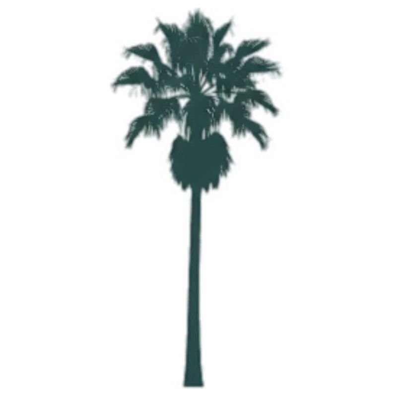 Conception de palmier tropical