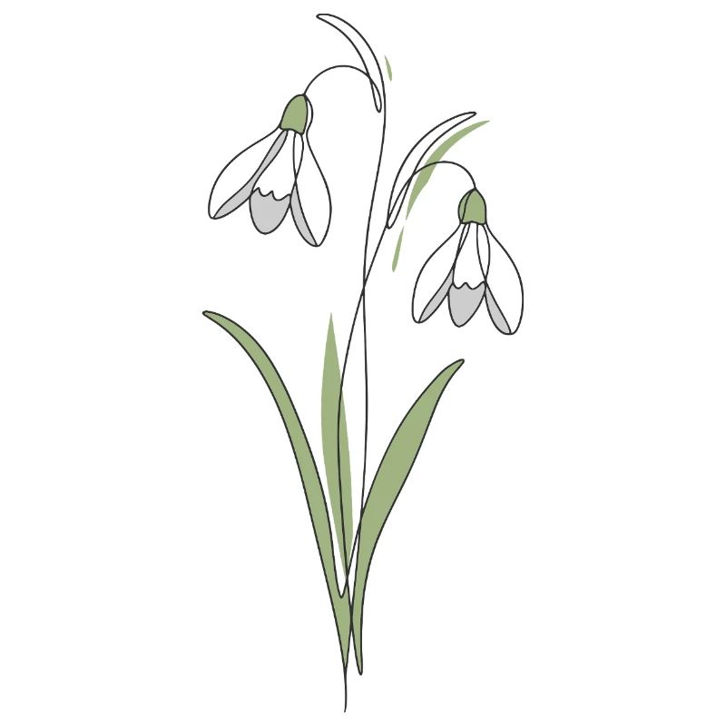 Illustration d’illustration de lignes de perce-neige