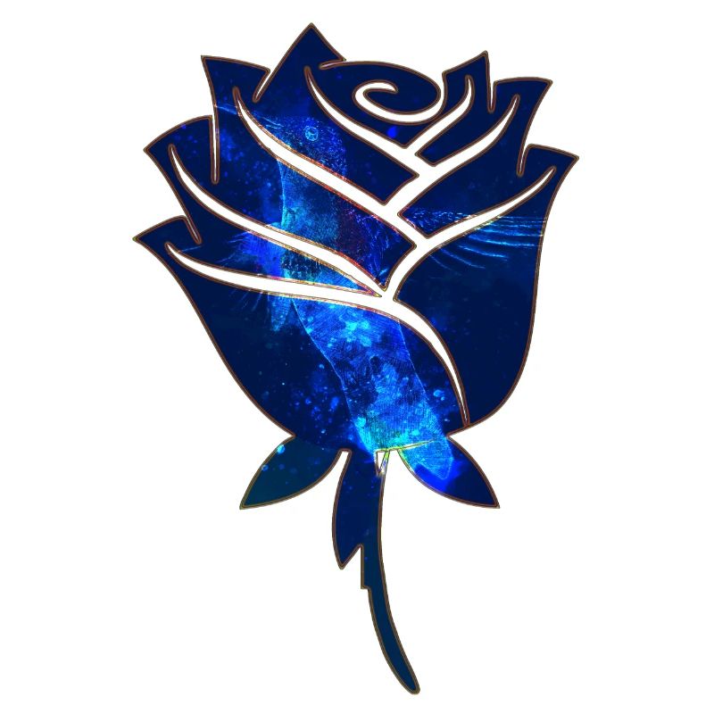 Rose bleue