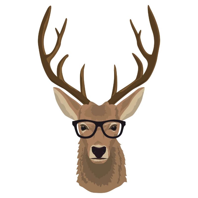 Hirsch Brille