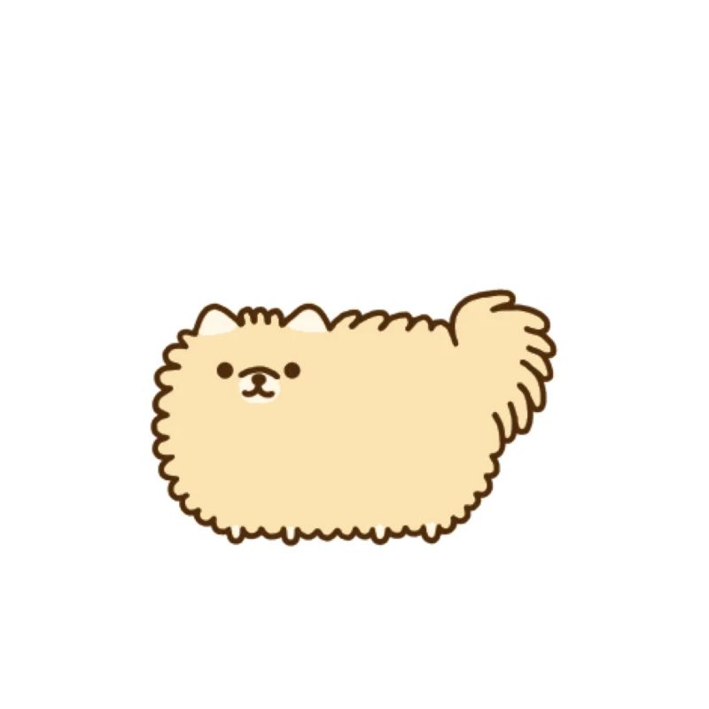 doux chat, chien