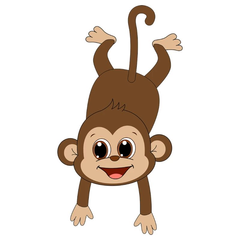 funny monkey