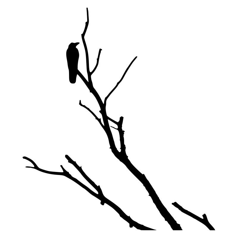 Raven sur la branche