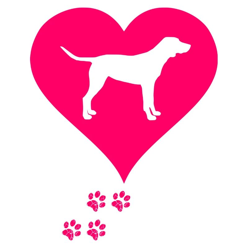 Labrador