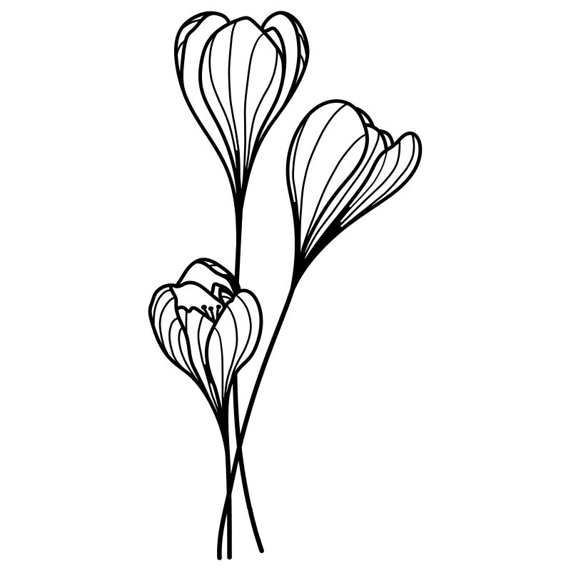 fleur sauvage simple