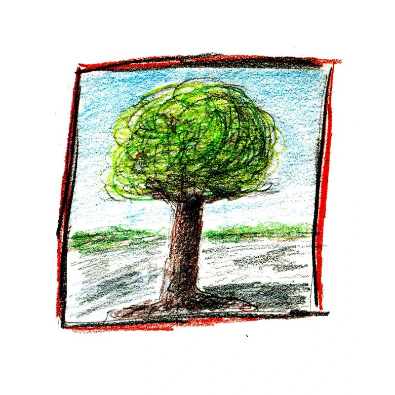 Tree 1
