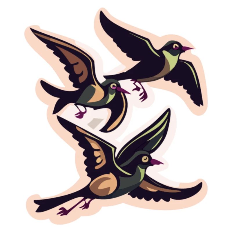 Volée d’oiseaux