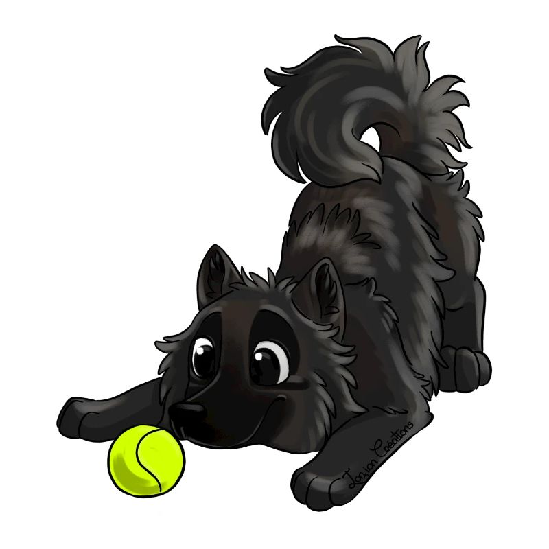 Le plus mignon Eurasier