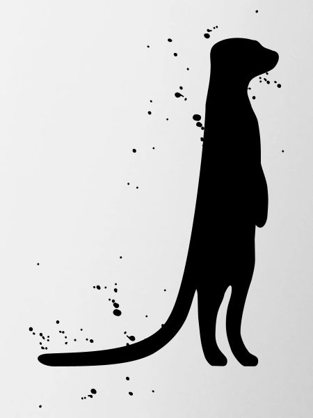 meerkat