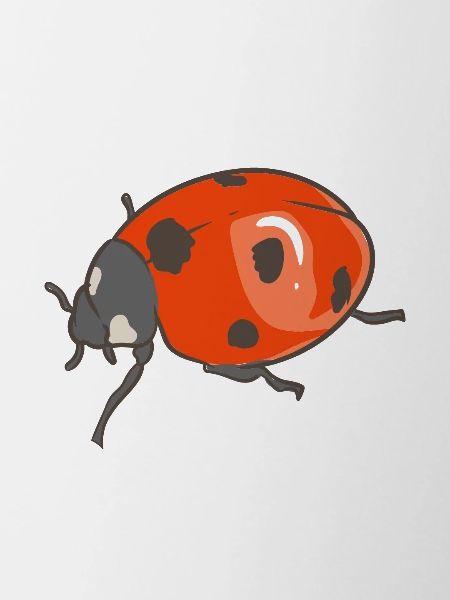 Team Ladybug