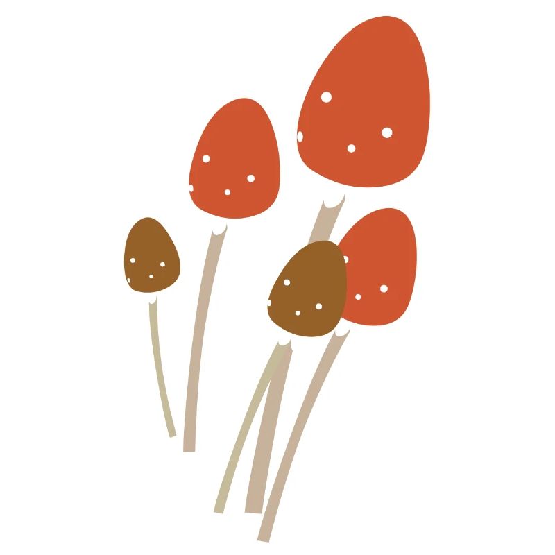 champignons champignons vegetables7 veggie veggie champignons