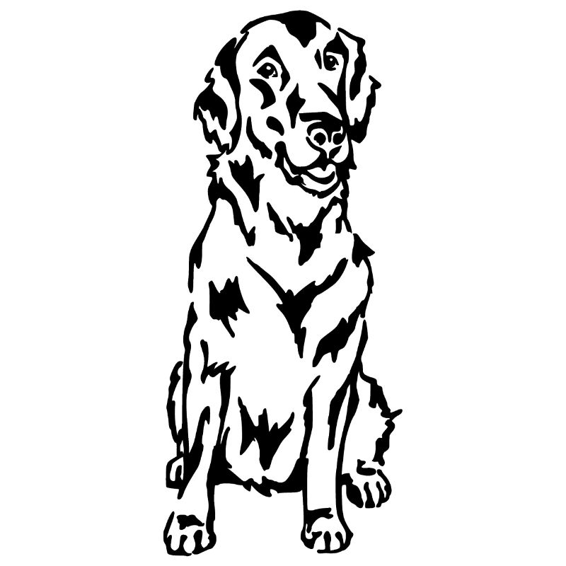 Flat Coated Retriever