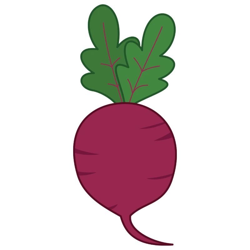Rote Beete