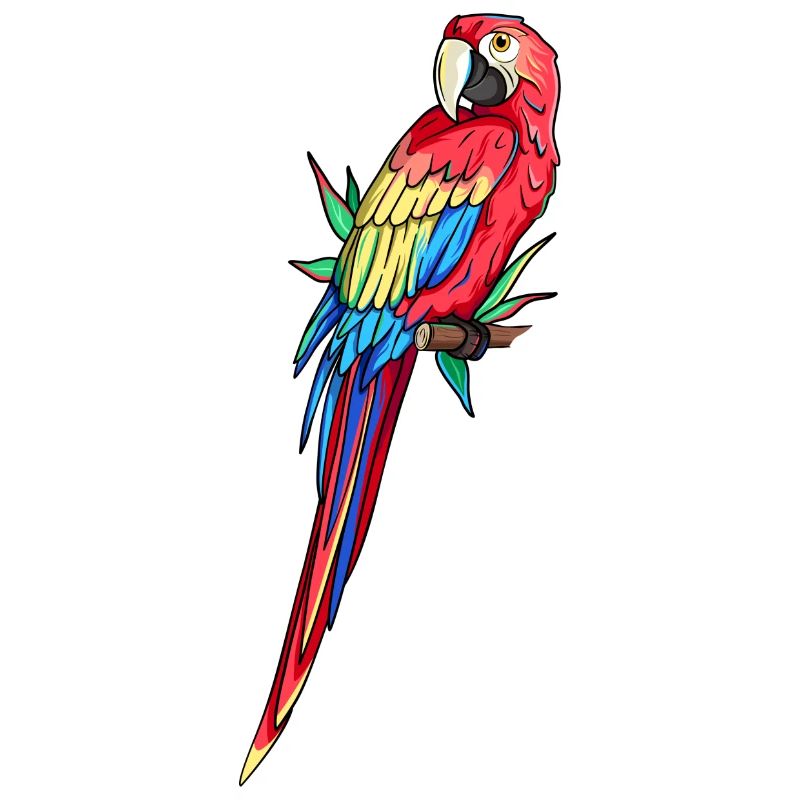 Macaw Parrot Amazon Parrot Feathers