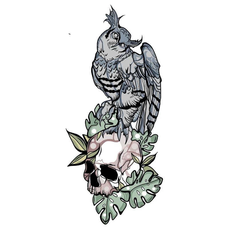 Hibou sur crâne // Illustration