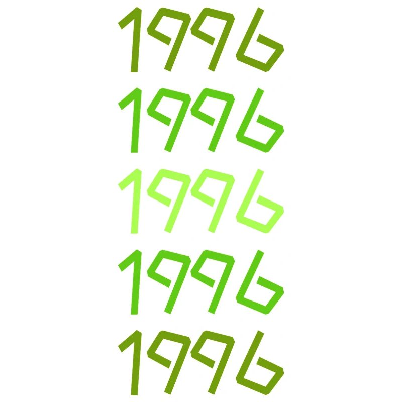 Barbecue 1996