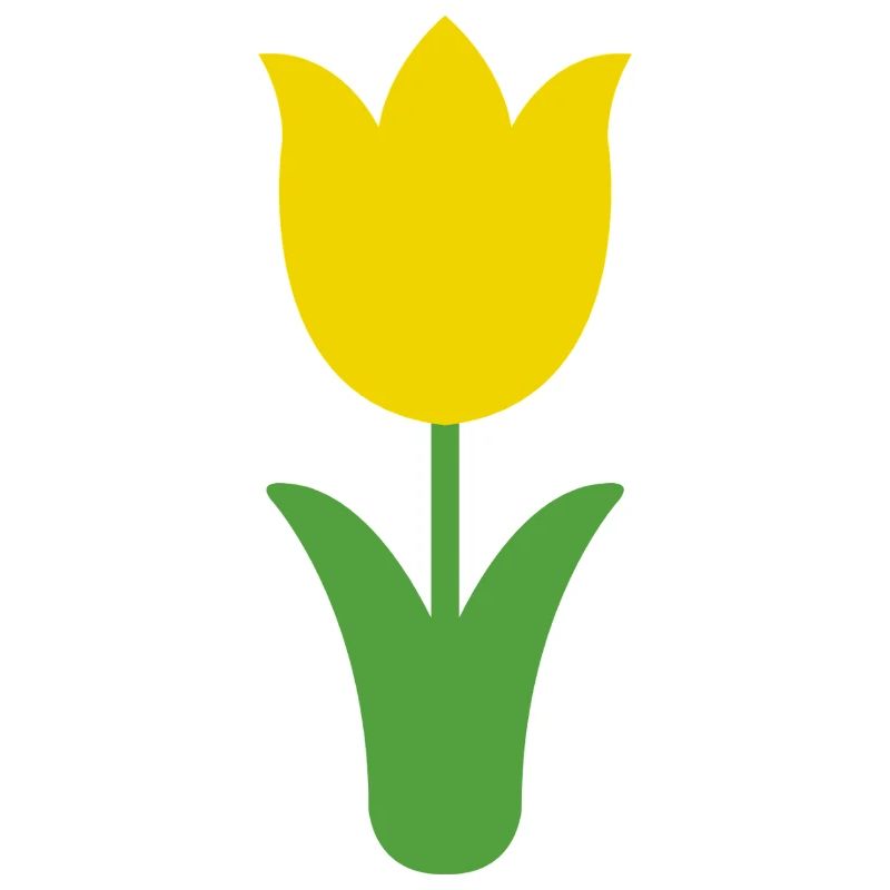 Tulip