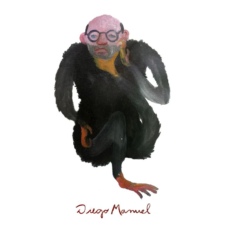 penseur gorille
