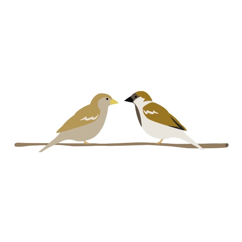sparrows