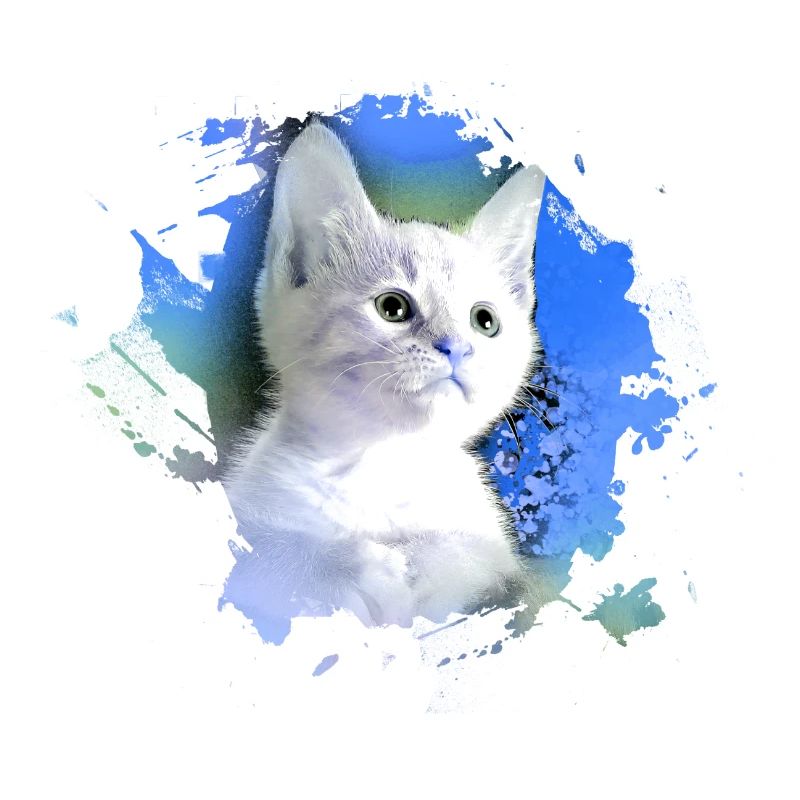 kitten,cat,kitten,graffiti,painting,blue