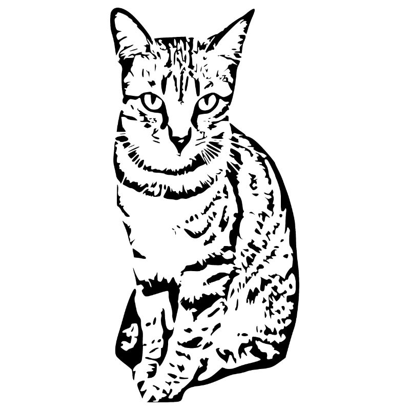 Chat Chaton Tigre Chat Chat Chat Cadeau