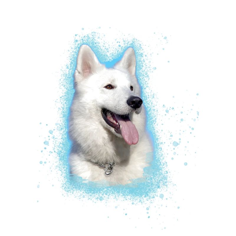 Berger Blanc Suisse,shepherd,dog,graffiti,pink
