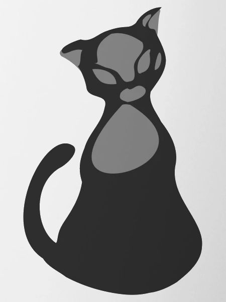 Chat gris et noir