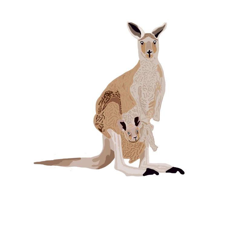 Kangourou avec bébé